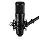 microphone usb studio