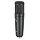 recording microphone