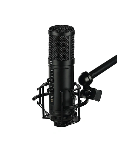 stereo condenser microphone