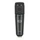 recording microphone