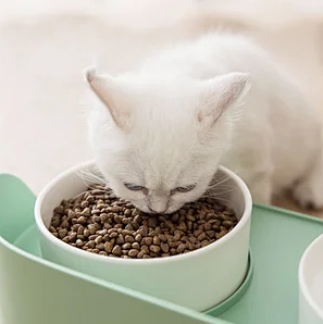 Anti overturning Cat Food Bowl Ceramic pet bowl