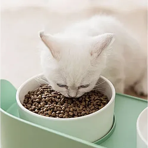 Anti overturning Cat Food Bowl Ceramic pet bowl