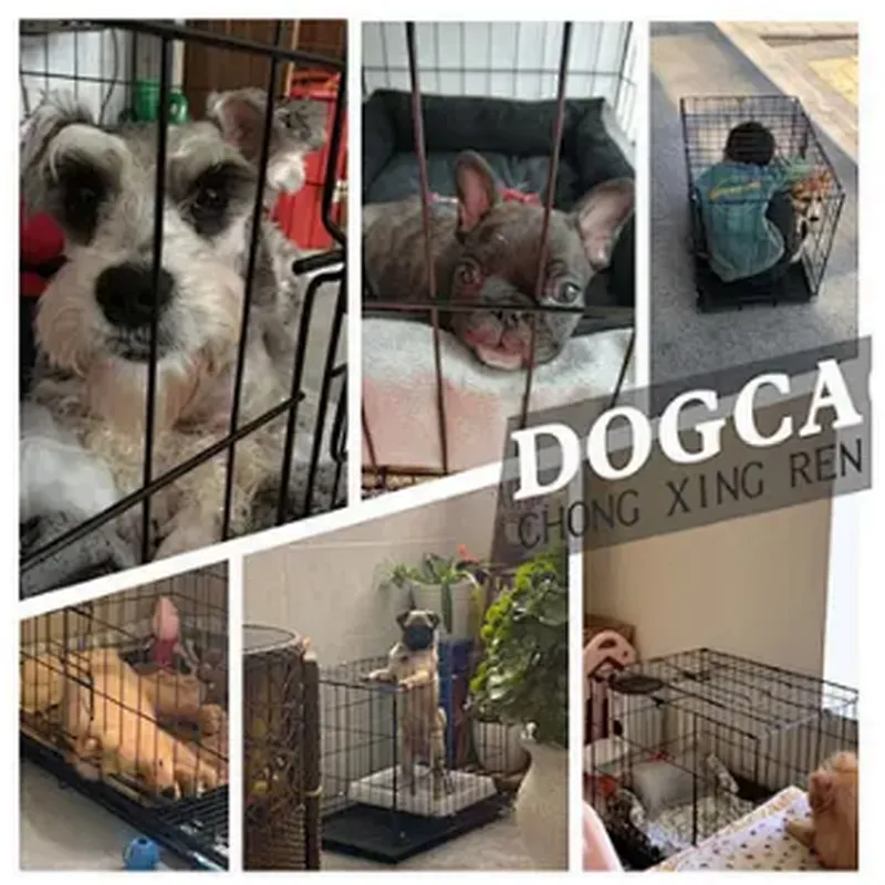 Metal Dog Kennels Stainless Steel Foldable Indoor Large Pet Dog Cages