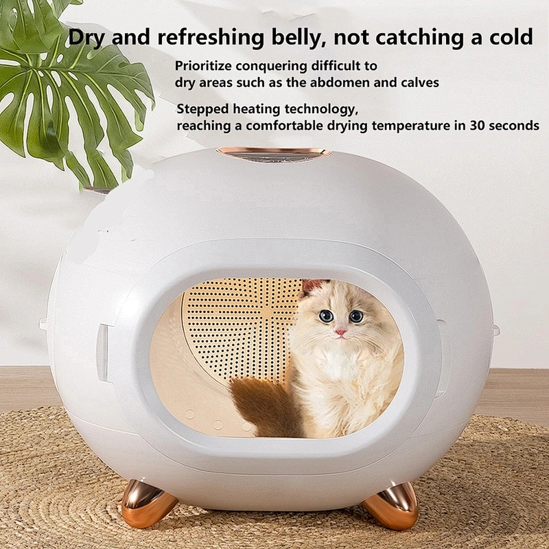 Intelligent control of cat drying oven