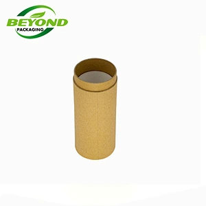 Recycled High Quality Kraft Cosmetic Cardboard Tube With Powder Shaker Dry Shampoo Packaging