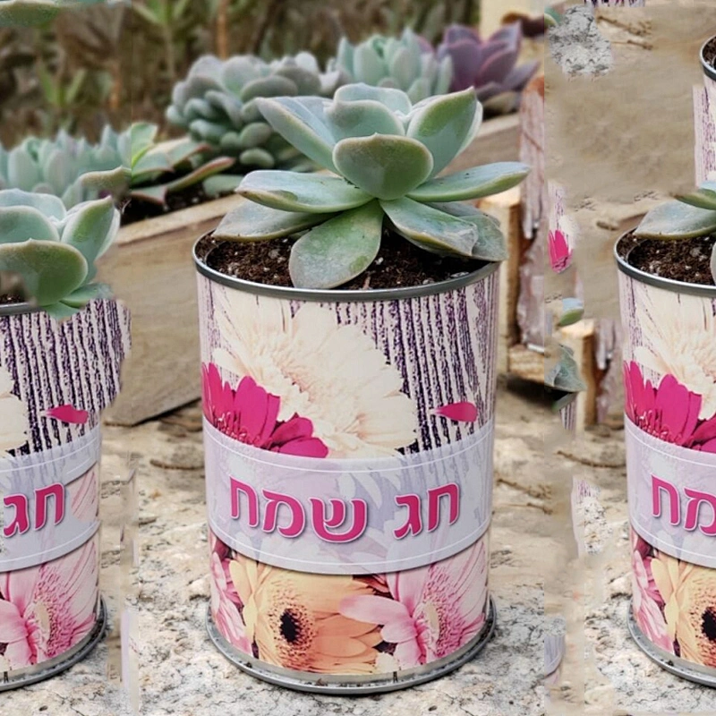 high quality environmental protection material round cylinder kraft paper cardboard tube packaging for potting