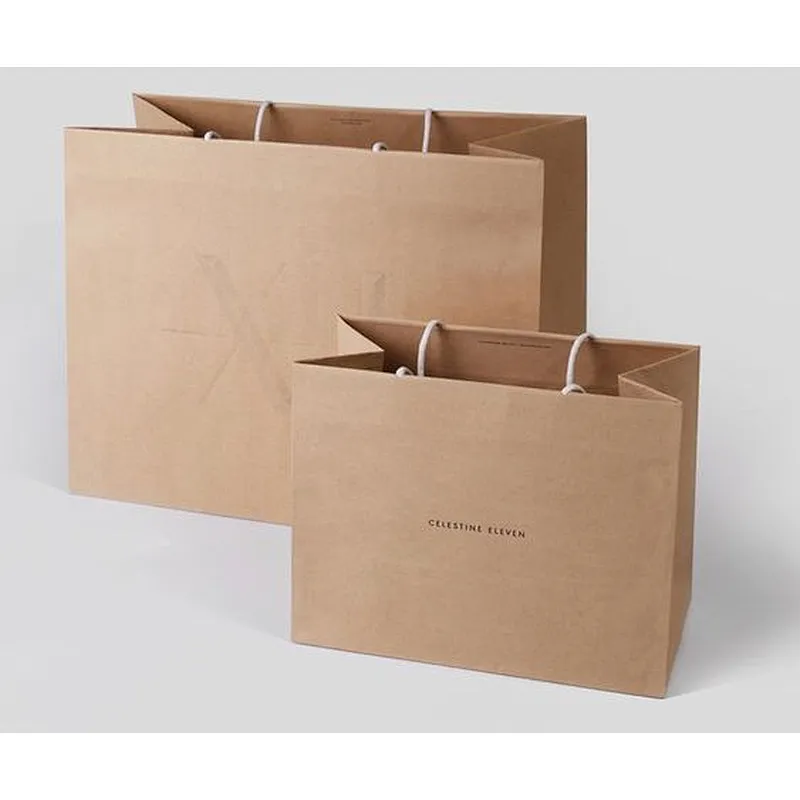 Eco Friendly High Quality Luxury Shopping Bag Gift Manufacture Shopping Bag Custom Logo Paper Bag