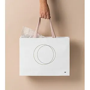 Custom Creative Cardboard Luxury Paper Shopping Bag with Ribbon Handle for Shoes and Clothing Apparel Gift Packaging