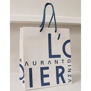 High Quality Eco Friendly Custom Paper Bag Custom Design Wholesale Gift Bag Manufacturers Packing For Shopping Clothing Jewelry