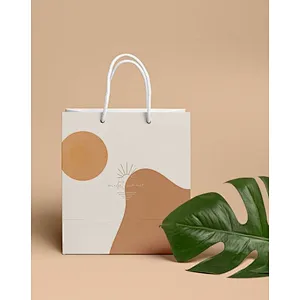 Wholesale Custom Design High Quality Eco Friendly Shopping Paper Bag Packaging With Rope Handle For Gift Birthday