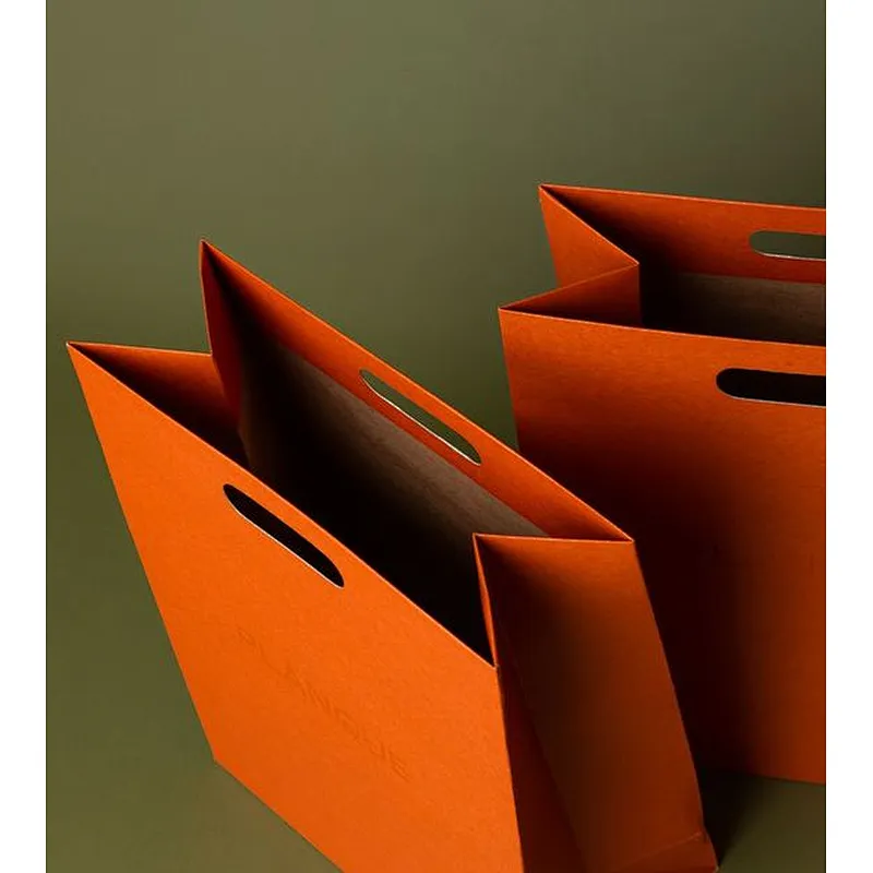 Custom Gift Craft Shopping Biodegradable Cardboard Kraft Paper Bag with Handle for Shoes Clothing Cosmetic Sets Box Packing