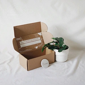 Custom Logo Folding Cardboard Corrugated Paper Shipping Paper Gift Box for Cosmetic Skin Care Serum Essential Oil Packaging
