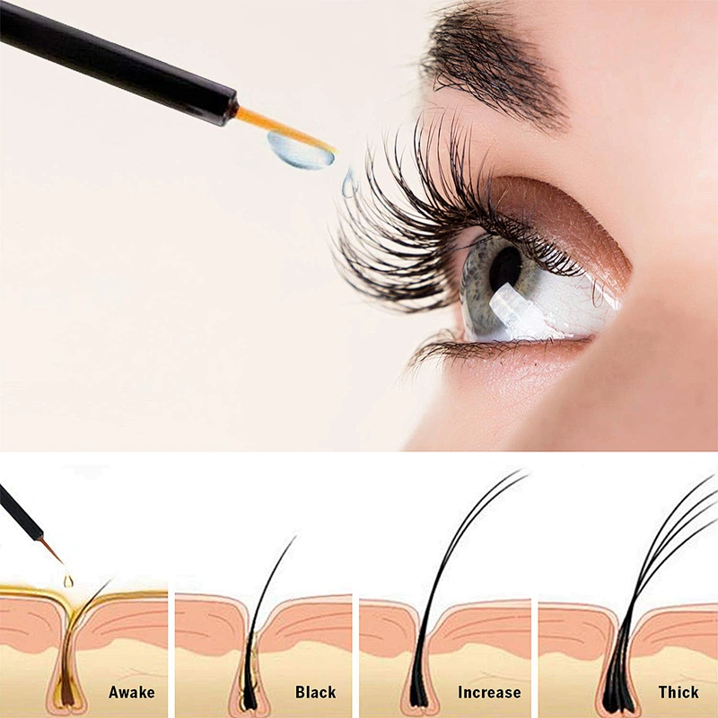 Private label eyelash and eyebrow growth serum