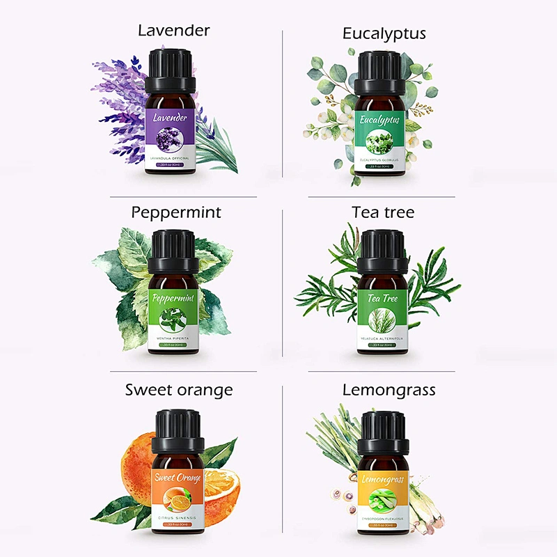 OEM ODM Wholesale private label  Essential Oil Set, Top 6x10mL Essential Oil Gift Set