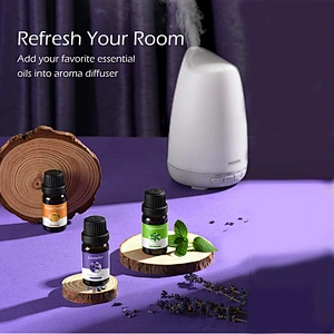 OEM ODM Wholesale private label  Essential Oil Set, Top 6x10mL Essential Oil Gift Set