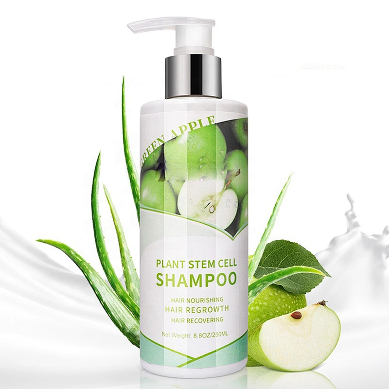 Private label Hair Wash regrowth Anti Loss Repair Organic Herbal Olive Oil Plant Stem Cell Shampoo
