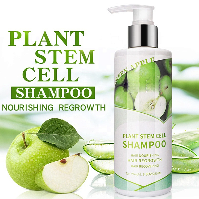 Private label Hair Wash regrowth Anti Loss Repair Organic Herbal Olive Oil Plant Stem Cell Shampoo