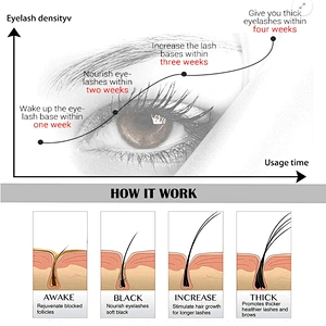 Private label eyelash eyebrow growth serum