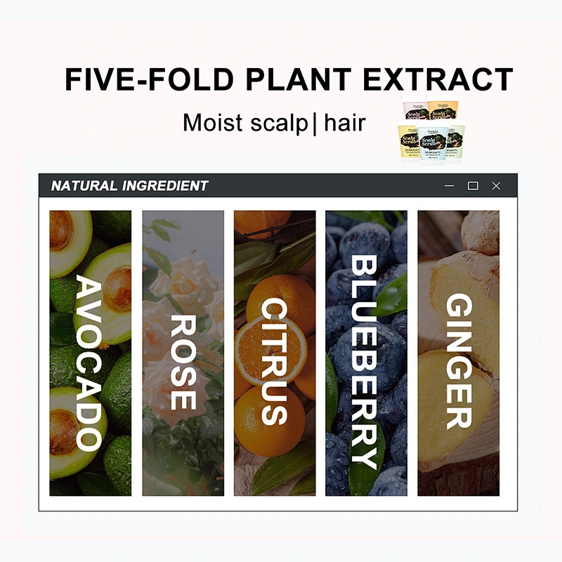 Private Label Wholesale Hair Treatment Deep Cleansing Purifying Anti-Dandruff Shampoo Hair Wash Massager Scalp Scrub