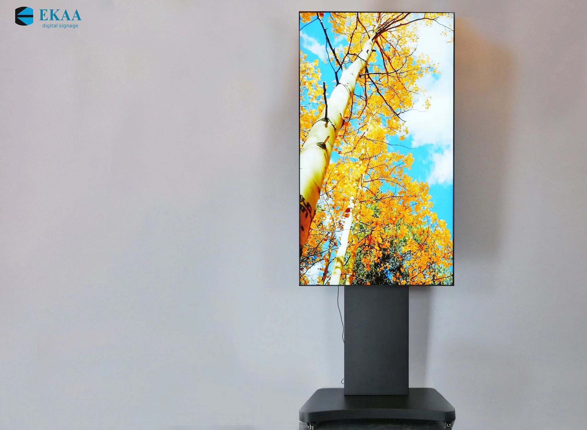 window facing digital signage