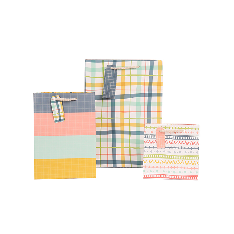 Ins Style Everyday Series Gift Paper Bags