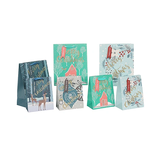 Gift Paper bags for Christmas Day, Xmas accessory package