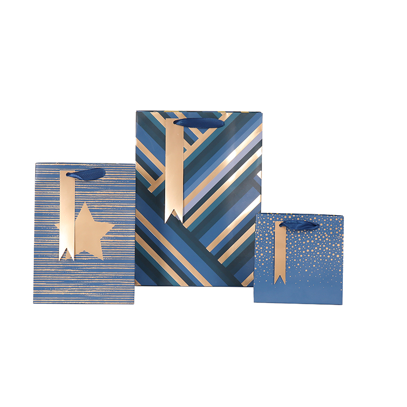 Hot Stamping Gift Paper Bags for Man