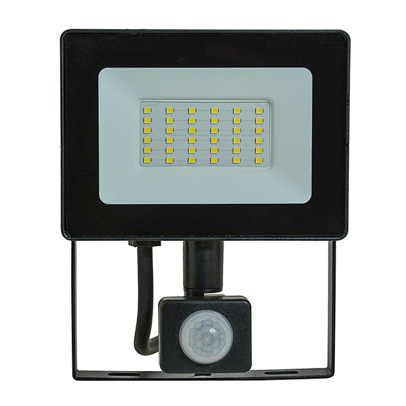 10W 20W 30W 50W Pir Floodlight 110-265V
