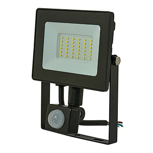 10W 20W 30W 50W Pir Floodlight 110-265V
