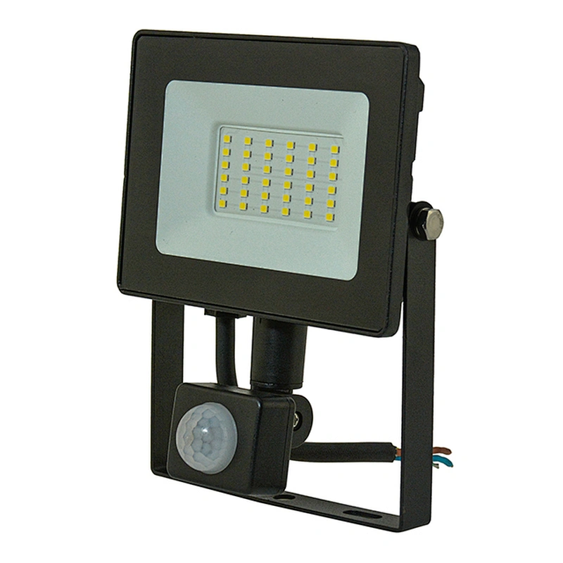 10W 20W 30W 50W Pir Floodlight 110-265V