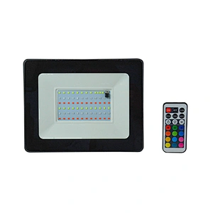 China Flood Light RGB Remote Control 10W 20W 30W 50W