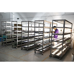 Production aging
