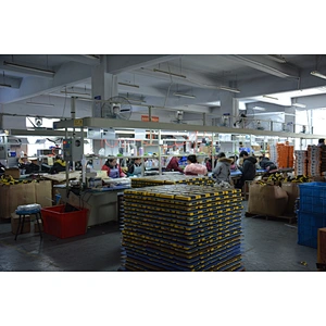 Sunshinelux Factory