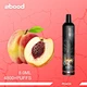 vape pen 4800 puffs rechargeable