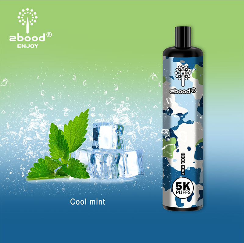 Cool Mint Zbood Enjoy 5000 Puff Disposable Vape Pen