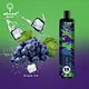 GRAPE ICE DISPSOABLE