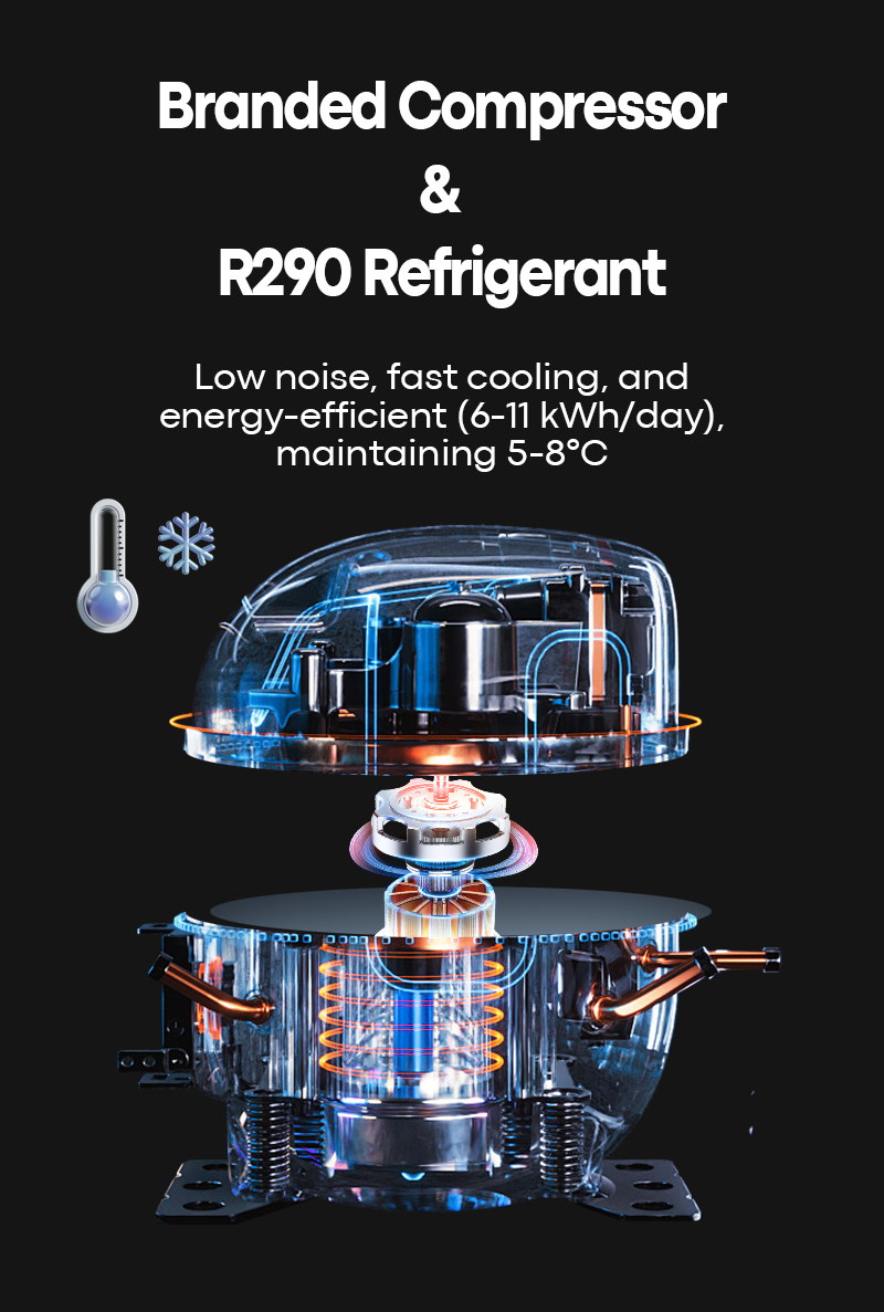 WEIMI BJD Doll model vending machine large capacity anti-breakage have vranded compressor & R290 refrigerant