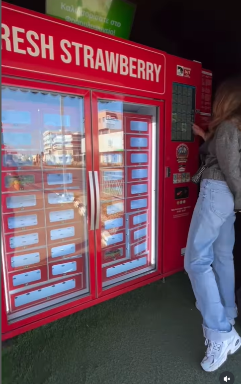 Strawberry locker vending machine customer case
