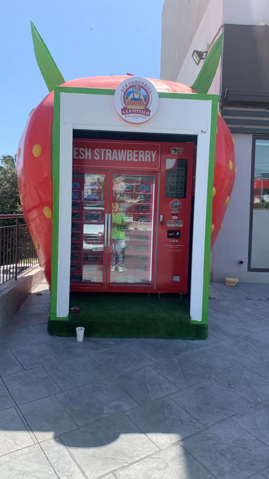 Strawberry locker vending machine customer case