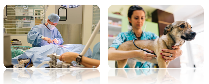 Pulse oximeter,  Patient Monitor, ICU monitor, oximeter, oximetre, utech-news