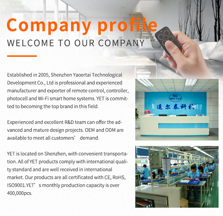 remote control factory