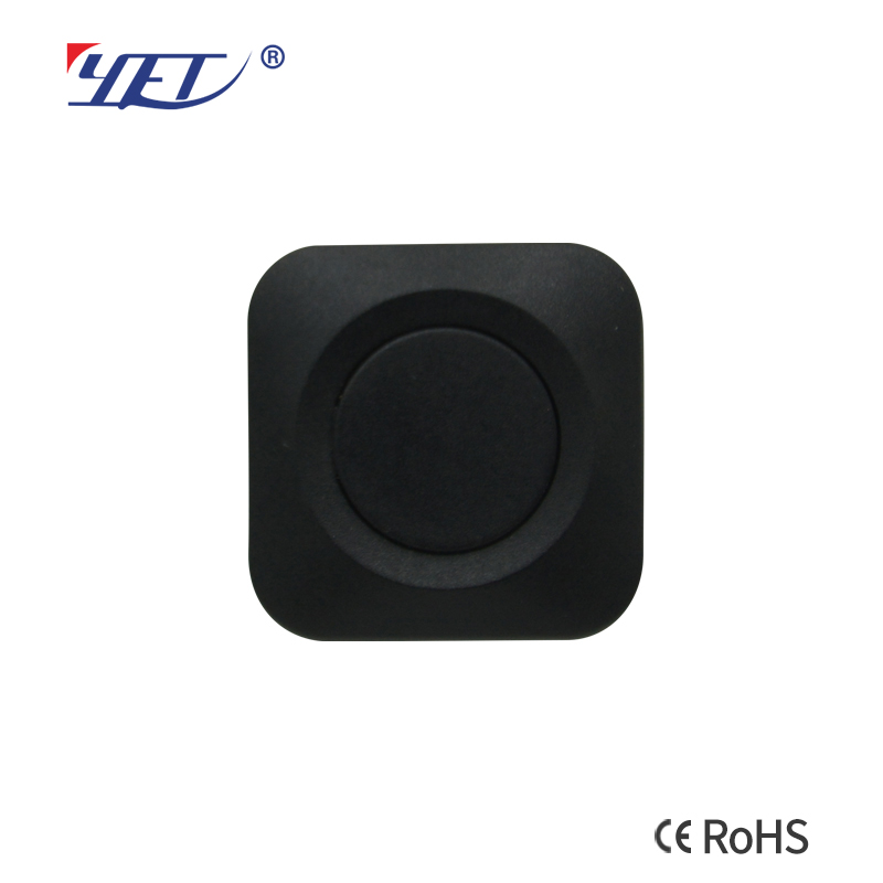 12v Remote Control