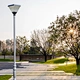 Daffodil all in one solar garden lamp manufacturer