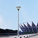 Daffodil all in one solar garden lamp supplier
