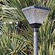Daffodil all in one solar garden lamp exporter