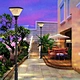 led solar yard light manufacturer