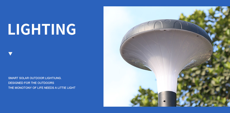 smart Morning glory led all in one solar urban lamps supplier
