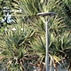 waterproof half-moon led solar urban light exporter