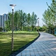Morning glory led all in one solar urban lamps manufacturer
