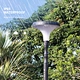 Morning glory led all in one solar urban lamps exporter